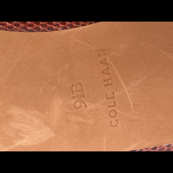 Cole Haan snakeskin heels, size 9 1/2 B, 3” heel - Picture 7 of 10